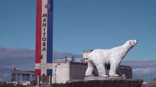 Статуя Полярного Ведмедя Стоїть Біля Знака Рекламування Черчилля Манітоба Канада — стокове відео
