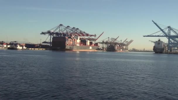 Brede Opname Bij Zonsondergang Van Haven Van Los Angeles San — Stockvideo