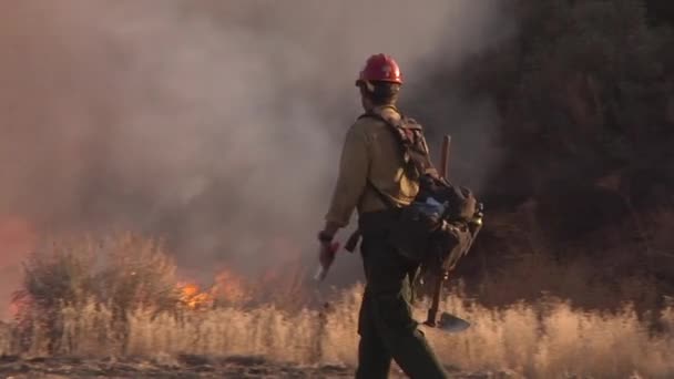 2017 消防士は炎がカリフォルニア州で制御不能に燃えるように見える — ストック動画