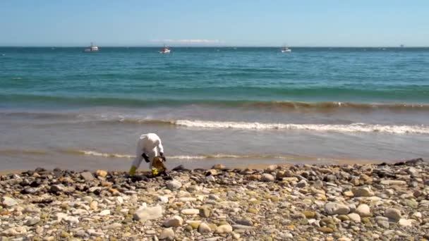 2015年 在加利福尼亚州圣巴巴拉市 Santa Barbara 发生燃油溢漏事件后 工人们进行了大规模的海滩清理工作 — 图库视频影像