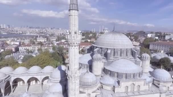 Instanbul Turkey Circa 2018 Letectví Istanbulu Turecko Staré Panorama Města — Stock video
