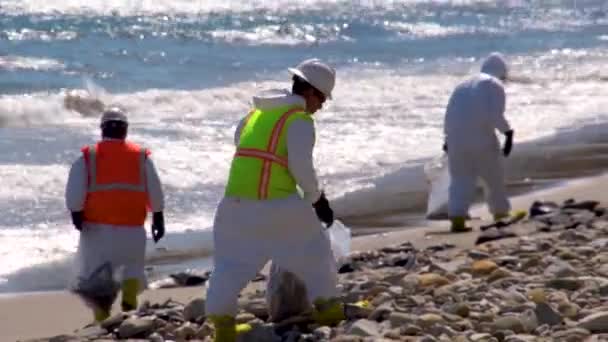 2015 Werknemers Ruimen Enorme Schoonmaak Van Het Strand Refugio Oil — Stockvideo