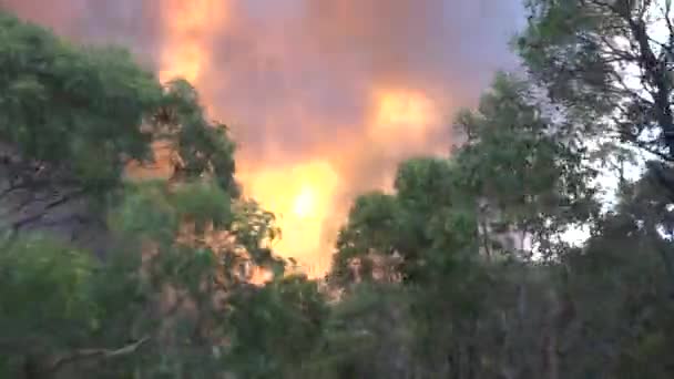 オーストラリアの裏側で大規模な野火が燃えている移動中の車両からのショット — ストック動画