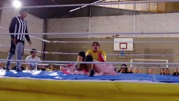 Bolivia Circa 2010S Cholita Wrestlerinnen Bolivianischen Kostümen Kämpfen Einem Boxring — Stockvideo
