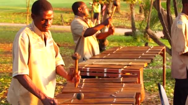 Zambia Circa 2018 Afrikanere Spille Marimba Eller Xylofon Musikfestival Zambia – Stock-video