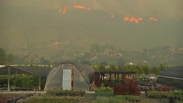 2017 Fuego Tomás Quema Fuera Control Las Colinas Detrás Carpenteria — Vídeo de stock