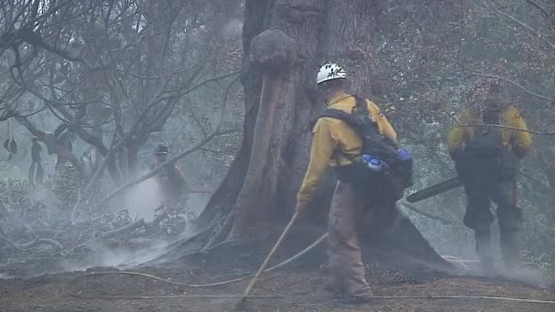 2017 Fire Crews Mop Burned Charred Home Destructive Thomas Fire — Stock Video