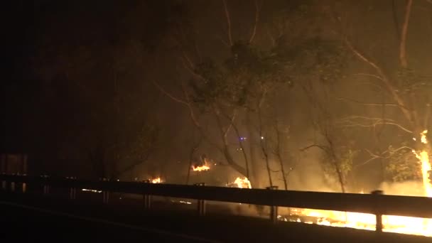 Pov Aus Einem Auto Während Eines Massiven Waldbrandes Australien — Stockvideo