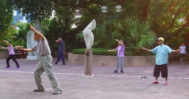노인들은 홍콩의 공원에서 타이기를 — 비디오