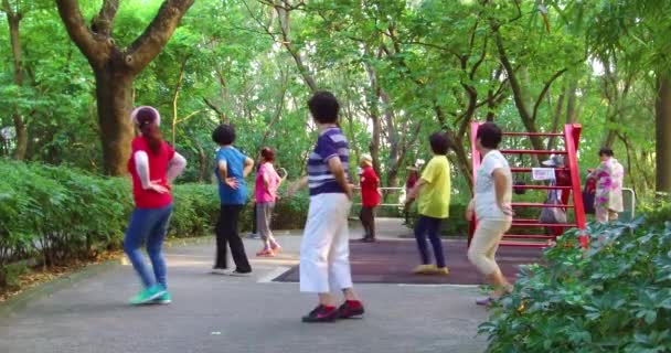 Gli Anziani Cinesi Praticano Tai Chi Parco Mattina Presto Hong — Video Stock