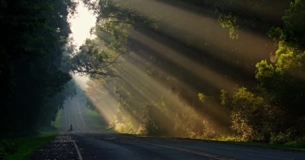 Los Rayos Del Sol Brillan Maravillosamente Una Carretera Carretera — Vídeos de Stock
