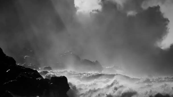 Large Ocean Waves Roll Coast Hawaii Break Shore — Stock Video