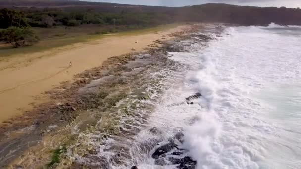 Aéreo Sobre Casal Dançando Jogando Uma Longa Praia Molokai Havaí — Vídeo de Stock