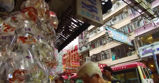 Los Peces Exóticos Ofrecen Venta Bolsas Plástico Una Pared Una — Vídeo de stock