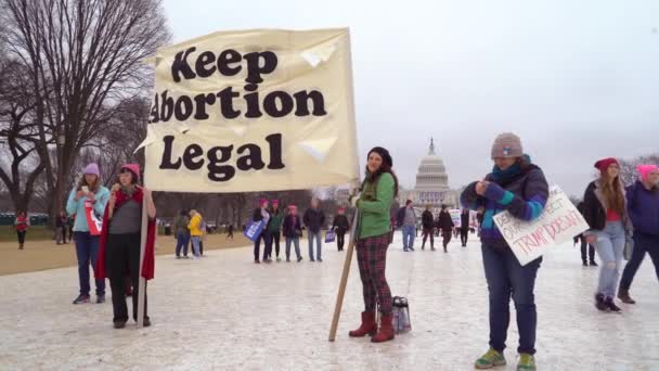 プロ中絶活動家はワシントンDcで中絶を合法的に保つためのサインを持っている — ストック動画
