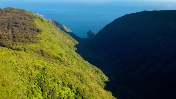 Waikolu Vadisi Üzerindeki Hava Hawaii Nin Molokai Adasında Issız Yasak — Stok video