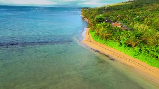 Lotnisko Nad Stawem Rybnym Kahina Pohaku Wzdłuż Wybrzeża Maui Hawaje — Wideo stockowe