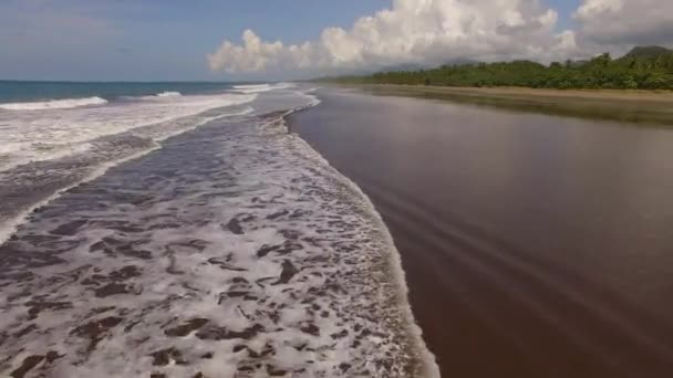 コスタリカの海岸やビーチの上に美しい航空機 — ストック動画