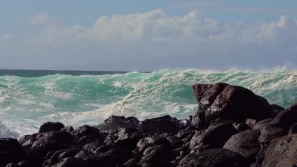 Blue Waves Roll Coast Hawaii Break Shore — Stock Video