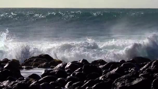 Ondas Azuis Rolam Costa Havaí Quebram Costa — Vídeo de Stock