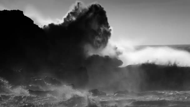 Grandi Onde Oceaniche Rotolano Sulla Costa Delle Hawaii Infrangono Sulla — Video Stock