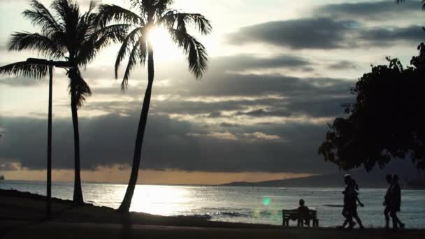 Szcenírozás Lépegetőkkel Kocogóval Ala Moana Beach Parkban Honoluluban Hawaii Államban — Stock videók