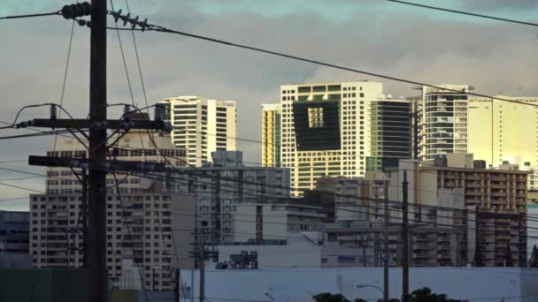 Honolulu Hawaii Binası Telefon Elektrik Hatlarından Görülüyor — Stok video