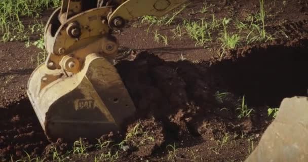 Pelle Bulldozer Tracteur Déterre Saleté — Video