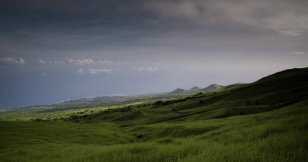 Une Belle Scène Côtière Verte Sur Côte Largement Inhabitée Molokai — Video