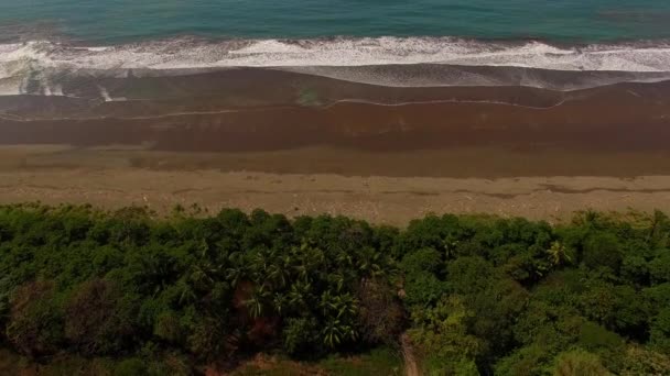 Чудова Повітряна Куля Над Узбережжям Коста Рики — стокове відео
