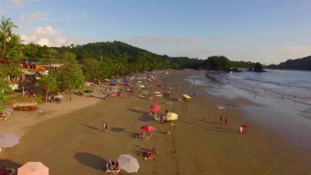 在哥斯达黎加 一架漂亮的飞机在一个有雨伞的繁忙海滩上飞行 — 图库视频影像