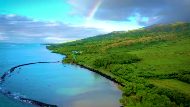무지개와 하와이 마우이 해안을 카리나 포하쿠 상공에서 — 비디오