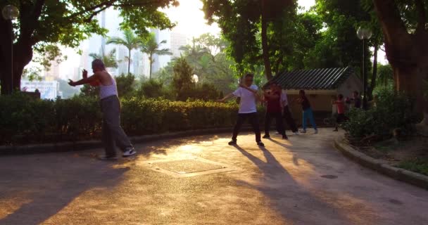 Seniorii Chinezi Practică Tai Chi Într Parc Dimineața Devreme Hong — Videoclip de stoc