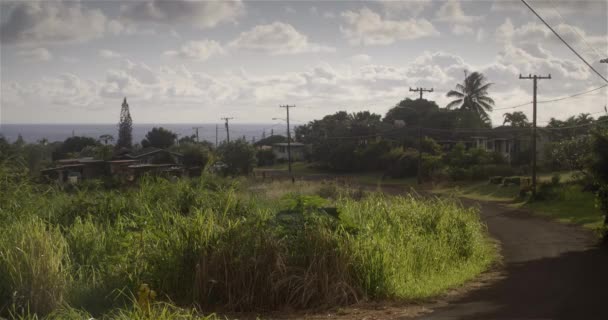 Green Road Anahola Kauai Hawaii — Stock Video