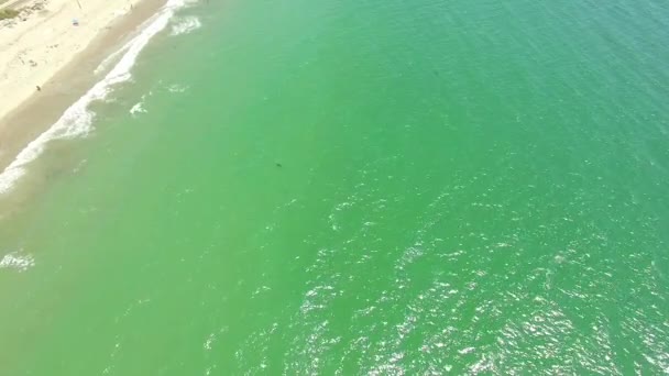 Uma Antena Sobre Uma Praia Califórnia Com Grande Tubarão Branco — Vídeo de Stock