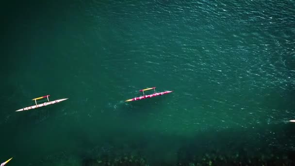 Beautiful Aerial Many Outrigger Canoes Start Race Hawaii — Stock Video