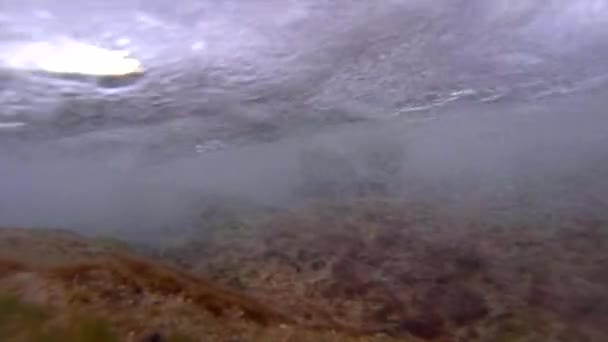 Подводный Кадр Волн Катящихся Берегу — стоковое видео