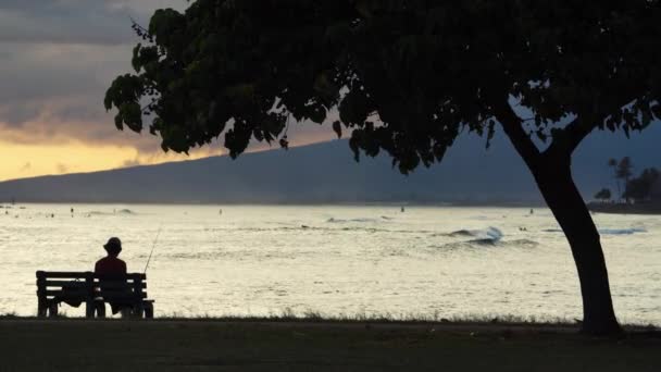 Ηλιοβασίλεμα Στο Ala Moana Beach Park Στη Χονολουλού Της Χαβάης — Αρχείο Βίντεο