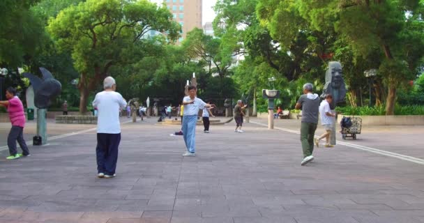 中国の高齢者は 中国の香港で早朝に公園で太極拳を練習します — ストック動画