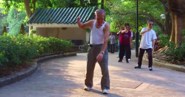 中国の高齢者は 中国の香港で早朝に公園で太極拳を練習します — ストック動画
