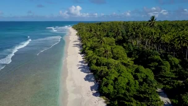 基里巴斯 密克罗尼西亚 太平洋岛屿的特莱纳岛天堂中无尽的棕榈树或椰子树林和美丽的海滩 — 图库视频影像