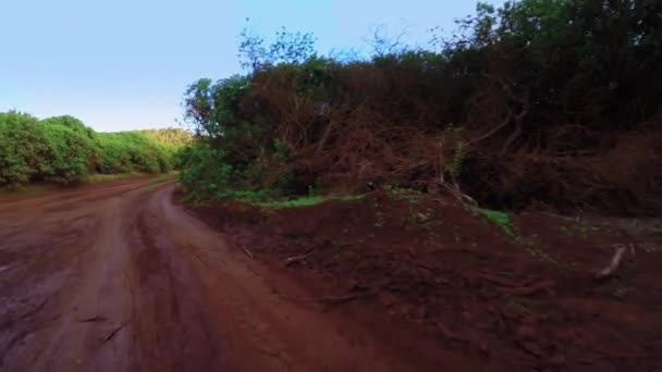 ハワイのラナイ島の赤い未舗装道路を走るハメ撮り — ストック動画