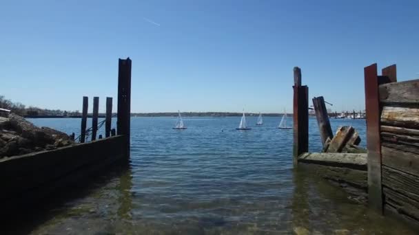 Eine Antenne Über Spielzeugsegelboote Die Auf Einem See Treiben — Stockvideo