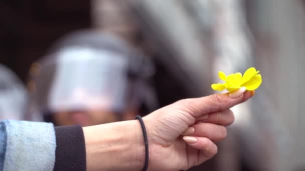 Una Mujer Ofrece Una Flor Policía Con Equipo Antidisturbios Inauguración — Vídeos de Stock