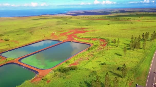 Vue Aérienne Dessus Molokai Rural Hawaï — Video