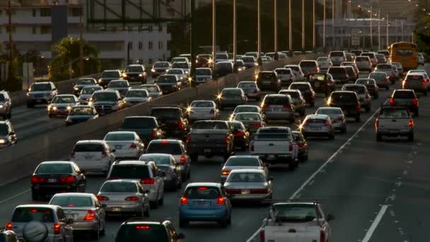 Πλήθη Κυκλοφορίας Αυτοκινητόδρομοι Της Χονολουλού Στη Χαβάη — Αρχείο Βίντεο