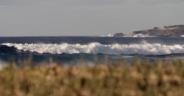 Хвилі Падають Берег Екстремально Повільному Русі Травою Передньому Плані Рослинності — стокове відео