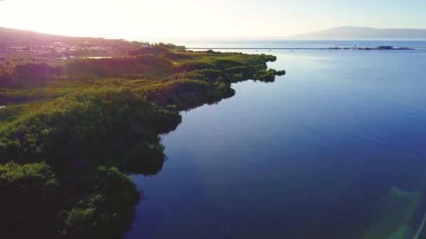 ハワイのモロカイ島の南海岸上空でのスローモーション — ストック動画