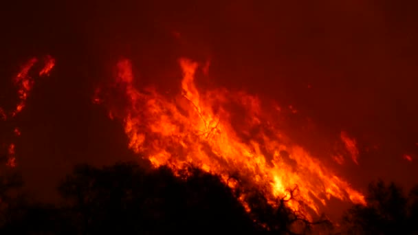 トーマスの火はカリフォルニア州オハイの丘で夜に燃える — ストック動画