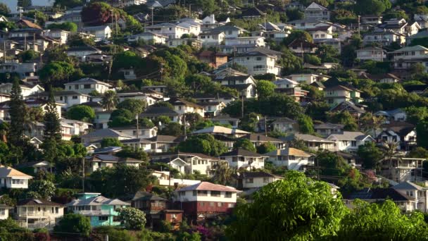 Casas Encosta Honolulu Havaí — Vídeo de Stock